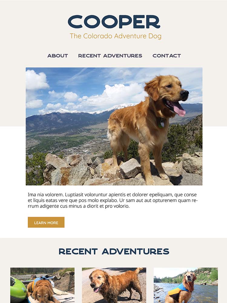 Cooper the Colorado Adventure Dog website design mockup