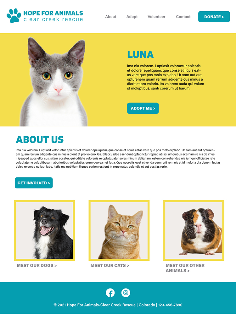 Hope for Animals website design mockup