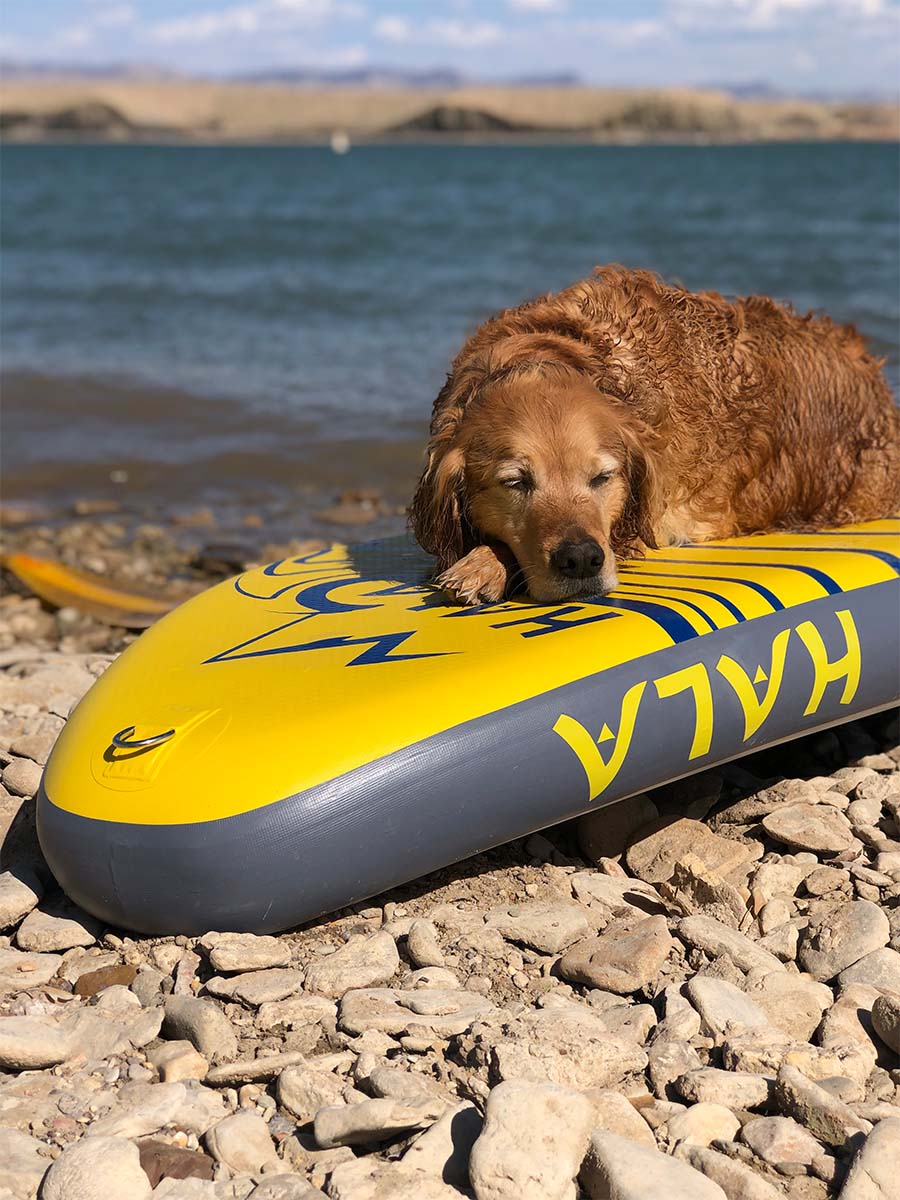 Cooper laying on a stand up paddle board on a rocky beach