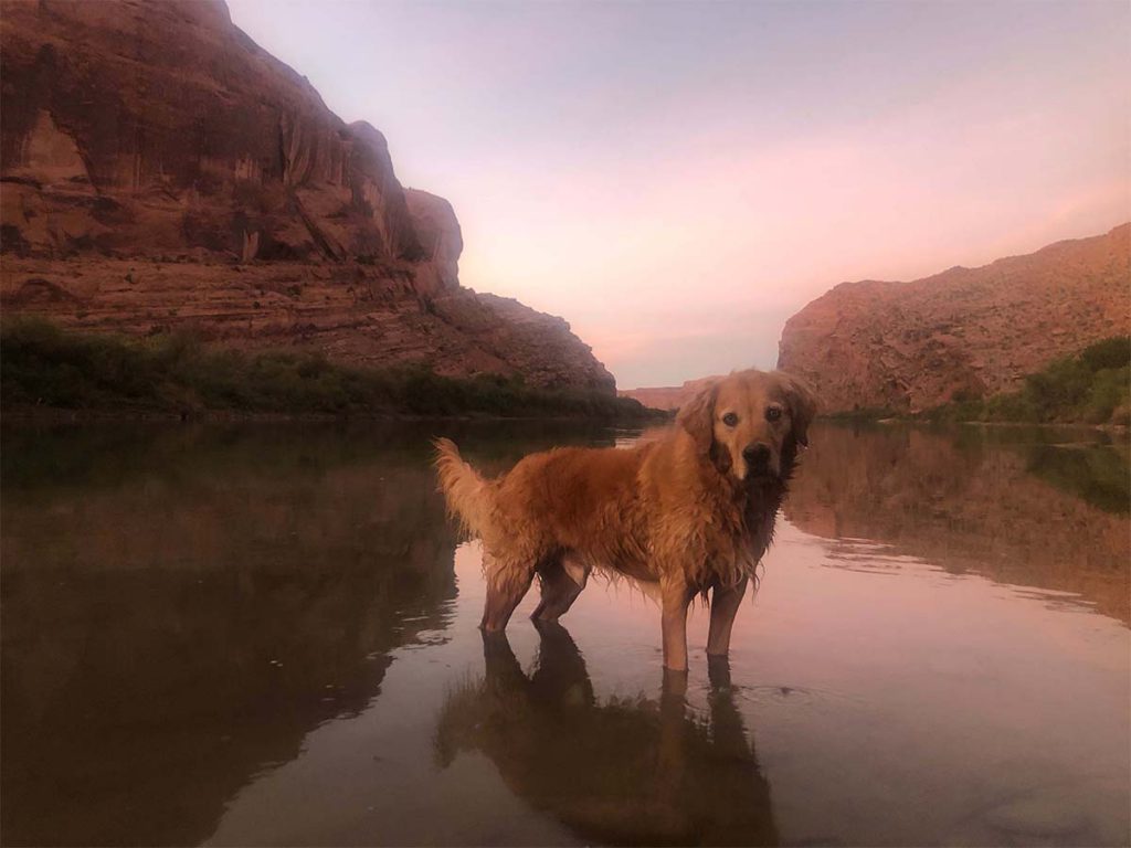 Cooper standing in the Colorado River in Moab