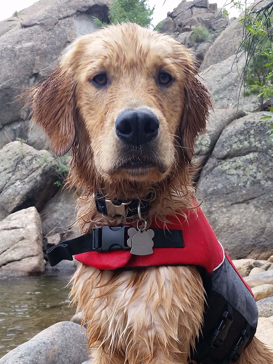 Cooper wearing red life jacket by rive