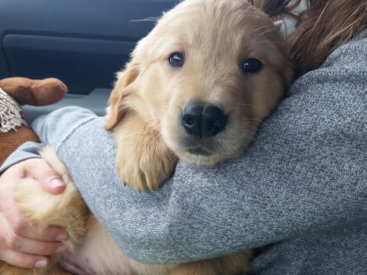 Cooper in Nikki's arms at 8 weeks old