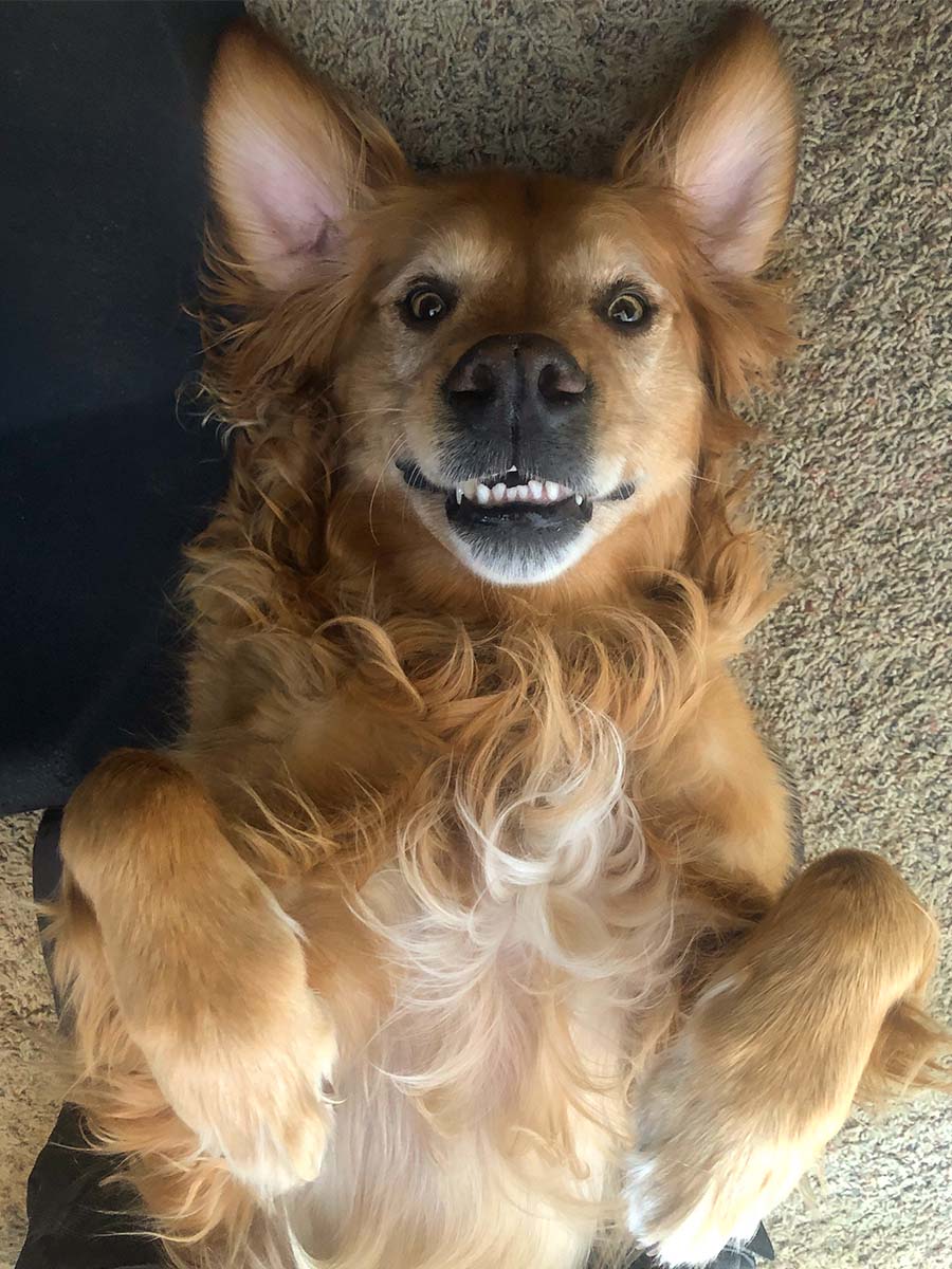 Cooper lying on his back smiling