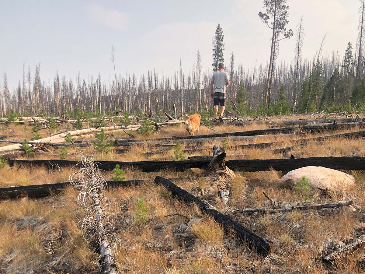 Cooper and Ryan exploring the burn scar a Decker Flats