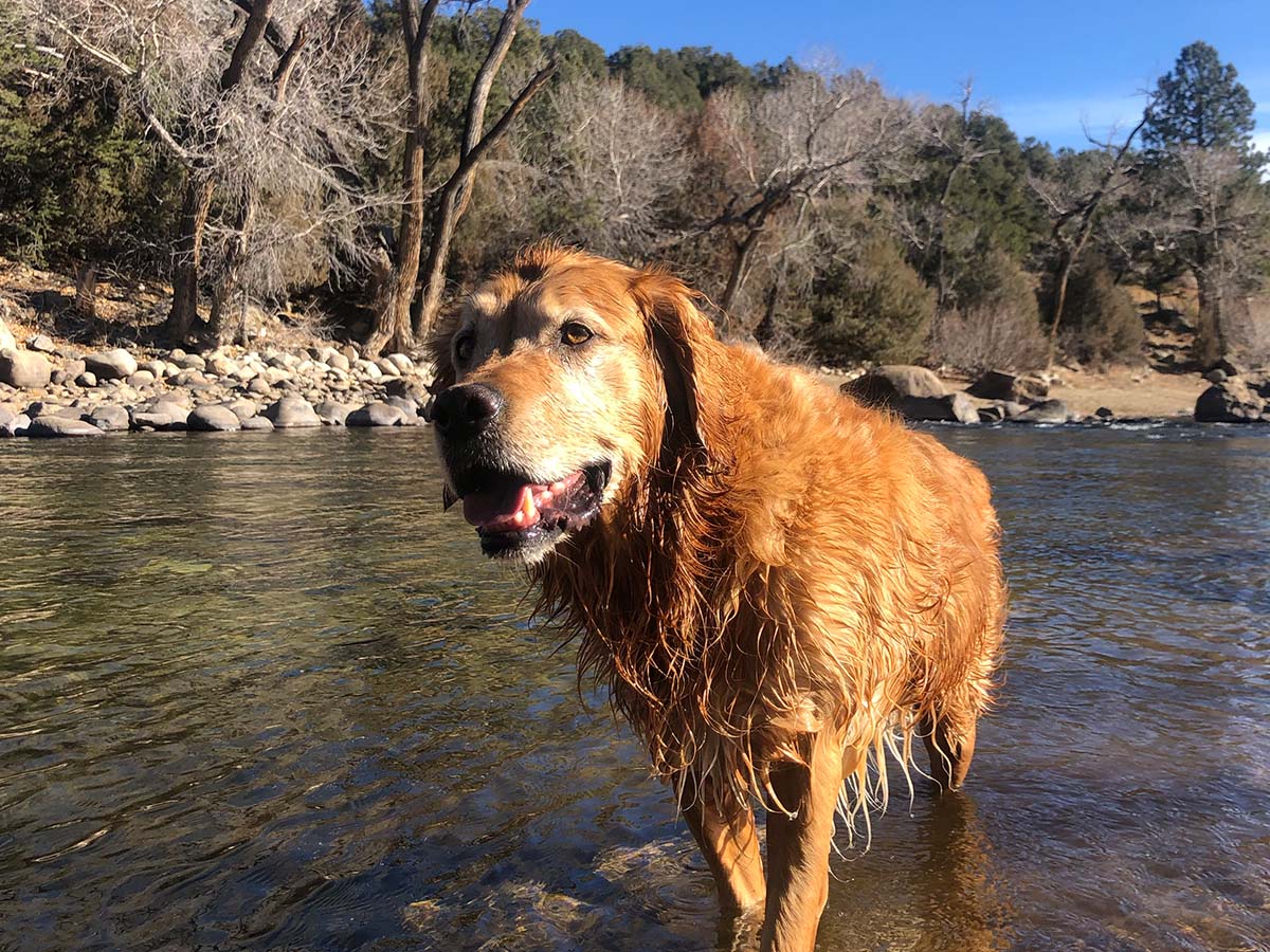 Cooper standing in the Arkansas River