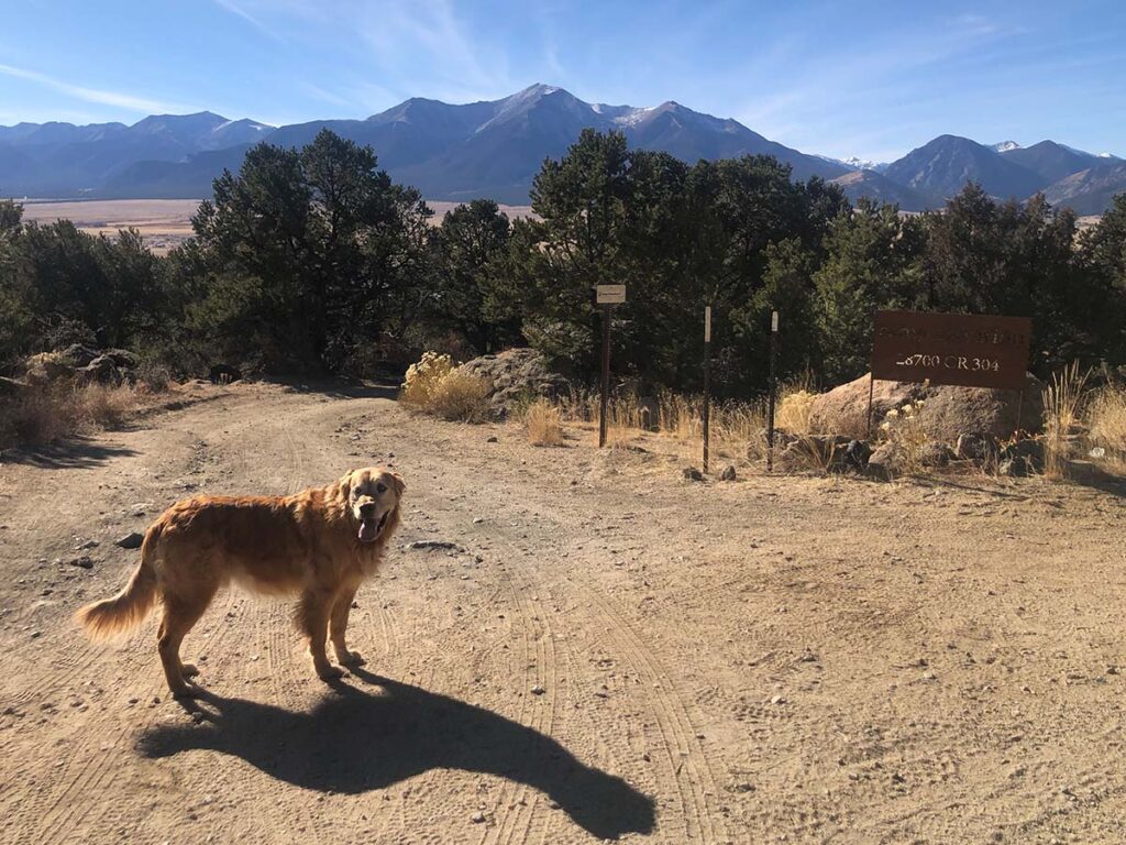 Cooper on dirt road in BV